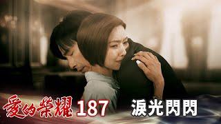 愛的榮耀 EP187 淚光閃閃｜Glory of Love