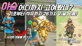 야숨 고인물 기술 모음 26가지 botw advanced skills