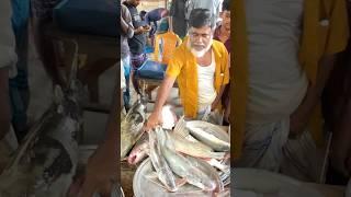 ৩৪০০ টাকা নিলামে পদ্মা নদীর ২ টা আইর মাছ॥ Padma river Eyer fish market॥ #shorts