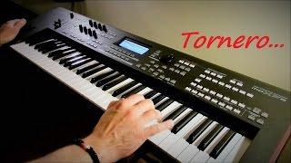 Tornero - I Santo California - Instrumental Version - Piotr Zylbert on Yamaha moXF6 - Live HD