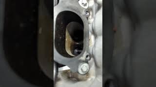 #1 Problem with All Direct Injection Engines Carbon Built up on Valves and Missfires