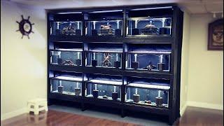 Ultimate DIY Aquarium Breeding Rack Auto Water Changes Clean Design Low Maintenance