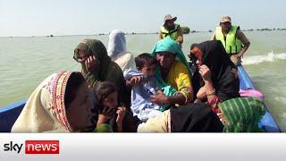 Pakistan floods Defences breached in Sindh Province