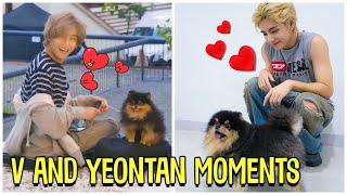 BTS V And His Dog Yeontan Cute Moments Feat. Rocky