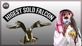 Higest Paid Falcon in Saudi Arab