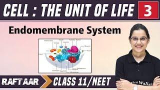 Cell  The Unit of Life 03  Endomembrane System  Class 11NEET  RAFTAAR