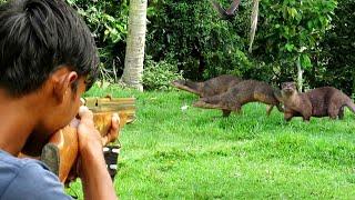 2 hari berburu_pencarian burung punaigaranganburung sawah dan terkukur