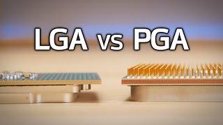 LGA vs PGA Which is better?