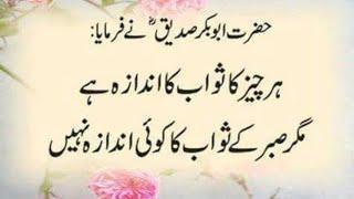 Urdu quotes about sabarbestUrduquotesaqwalezareeninUrduUrdu Islamic quotesBestUrduQuotesMix