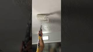 Want To Skim Coat Your Ugly Ceiling Or Walls With a Paint Roller? WATCH THIS
