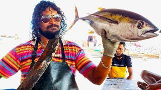 Tuna Fish Cutting  Fish Cutting Skills Sri Lanka