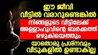 ഈ ജീവി വീട്ടിൽ വരാറുണ്ടെങ്കിൽ നിങ്ങളുടെ വീട്ടിലേക്ക് അള്ളാഹുവിന്റെ ബർക്കത്ത് ഒഴുകിയെത്തും