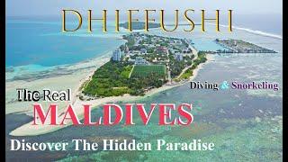 4K  DISCOVER THE HIDDEN PARADISE DHIFFUSHI ISLAND  Diving & Snorkelling  Maldives 2023