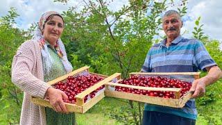 Delicious Rustic Homemade Cherry Jam Relaxing Life In The Village