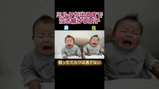 締めのミルクを提供するのが少しでも遅いと泣き叫ぶ双子の赤ちゃん#shorts