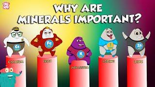 Why Are Minerals Important?  Functions Of Minerals  The Dr Binocs Show  Peekaboo Kidz