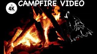 CAMPFIRE Crackling VIDEO - Wolves Howling - 4k at NIGHT