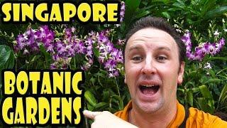 Singapore Botanic Gardens Travel Guide