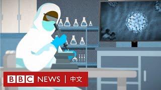 肺炎疫情：第一支疫苗最快什麼時候面世？－ BBC News 中文