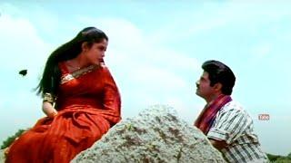 Balakrishna & Ramya Krishnan Movie Interesting Scene @TeluguMultiplex1