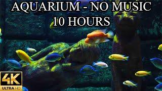 Aquarium 4K Video Ultra HD - NO MUSIC and NO ADS - 10 Hours  Fish Tank Sounds For Sleep