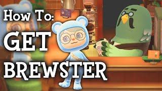 How To Unlock Brewster  2.0 Update Animal Crossing New Horizons