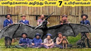 அழிந்து போன உயிரினங்கள் Seven Rare Videos Of Extinct Animals  Tamil Info Share