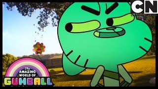 Çiçek  Gumball Türkçe  Çizgi film  Cartoon Network Türkiye