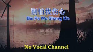 Bie Pa Wo Shang Xin  别怕我伤心  Male Karaoke Mandarin - No Vocal