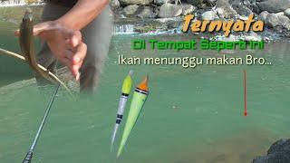 Mancing Ikan Nilem Dengan Pelampung Super Sensitif