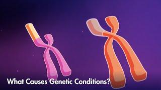 How mutations or variations can lead to genetic conditions