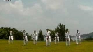 Taekwondo demonstration