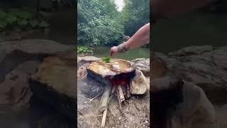 cooking fish on hot stone  fish recipe  fishing  #asmr #cooking #fishing