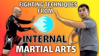 MMA Coach Learns Internal Martial Arts from Kungfu Expert