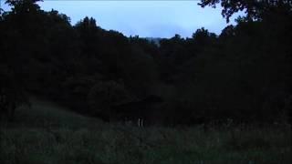 Night Time in the mountains - 10 hours of HD Frogs Crickets Cicadas and other insects.