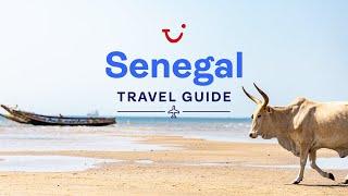 Travel Guide to Senegal Africa  TUI