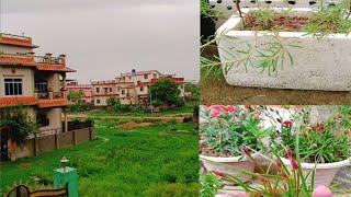 Beautiful Weather  My Small Garden TourBahot Payari Barish Aur Mera Beautiful Garden️