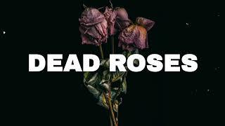 FREE Sad Type Beat - Dead Roses  Emotional Rap Piano Instrumental