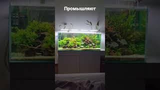 Встречают меня с работы