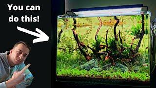 Complete Aquascaping Beginners Guide - Learn ALL The Basics