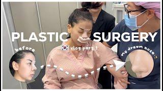 I GOT A NOSE JOB IN KOREA  plastic surgery vlog 1  Erna Limdaugh