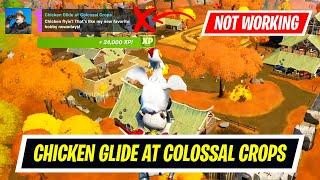 Chicken Glide at Colossal Crops Quest is not working *GLITCHED*