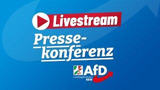 Beschreibung Pressekonferenz AfD-Initiativen im Plenum