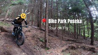 Bike Park Poseka 2.0  Bica kuha DH projekt in Ringlšpil  Tour de Fly