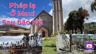 Bão lửa ở Maui Hawaii hơn 6500 nhà bị thiêu rụi  Nhà thờ phép lạ - còn nguyên vẹn như mới xây