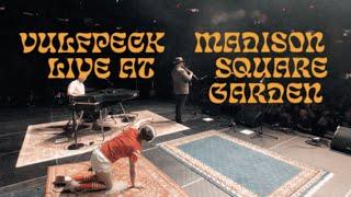 Vulfpeck Live at Madison Square Garden