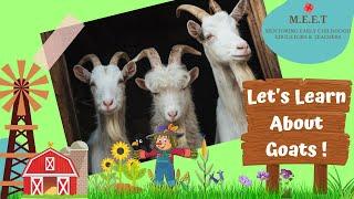 Lets Learn About Goatsonline preschool learning videos for kids