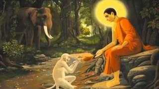 BUDA-DHAMMAPADA - el camino de la doctrina