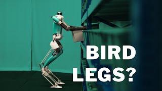 Does our robot have bird legs?