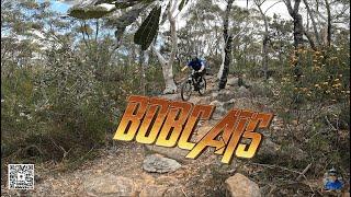 Loftus MTB Trails 1st time there & on my own  Bobcats is FUN #twlbj #loftusmtb #mtb